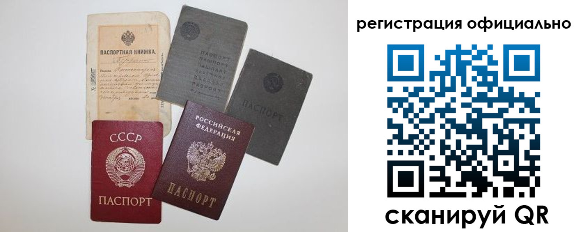 купить прописку в Курской области
